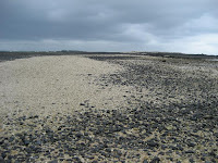 2006 冬 番黍仔尾嶼上沙洲