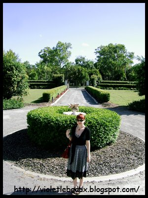 [garden1.jpg]