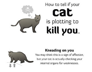 La Teacher: How to tell if your cat wants to kill you