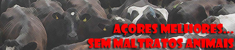 Açores Melhores...Sem Maltratos Animais