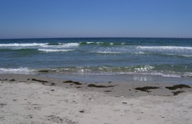 [Beach+1.jpg]