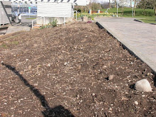 West side #2   April 2009