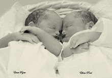 My sweet nephews, BORN AS ANGELS INTO GOD'S LOVING ARMS; EVAN & ETHAN 12/26/2009