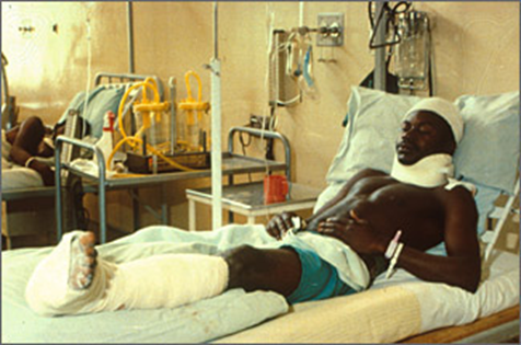 [New+Picture+(3).png]