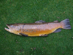 Fishing North Wales (Salmon & Sea trout)