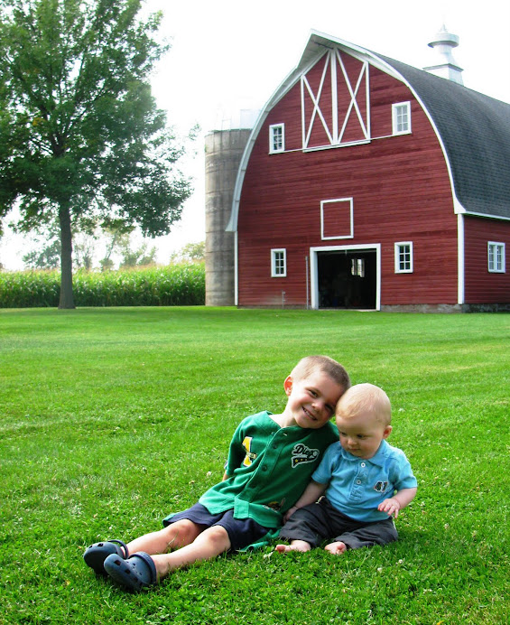 The Boys at the Princeton Family Farm