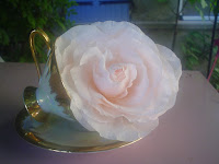 Rose Marie -Antoinette