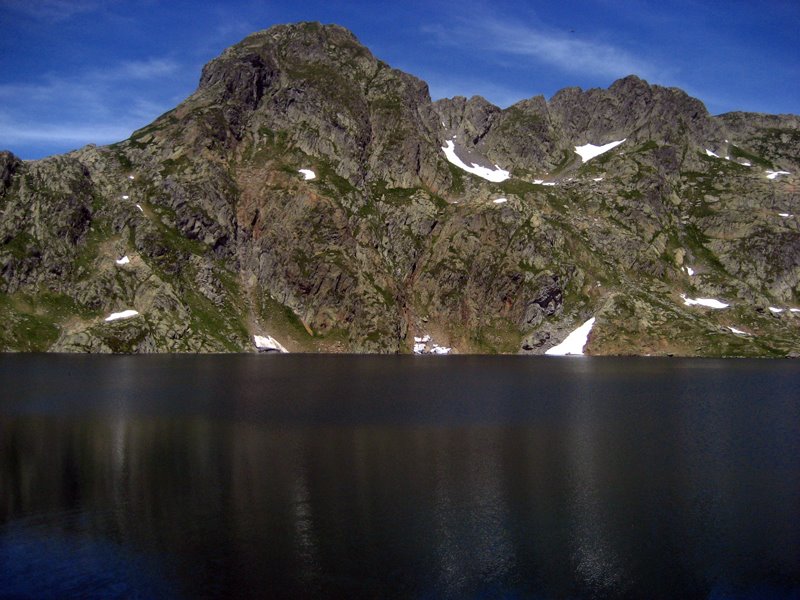 [IMG_1663.jpg]