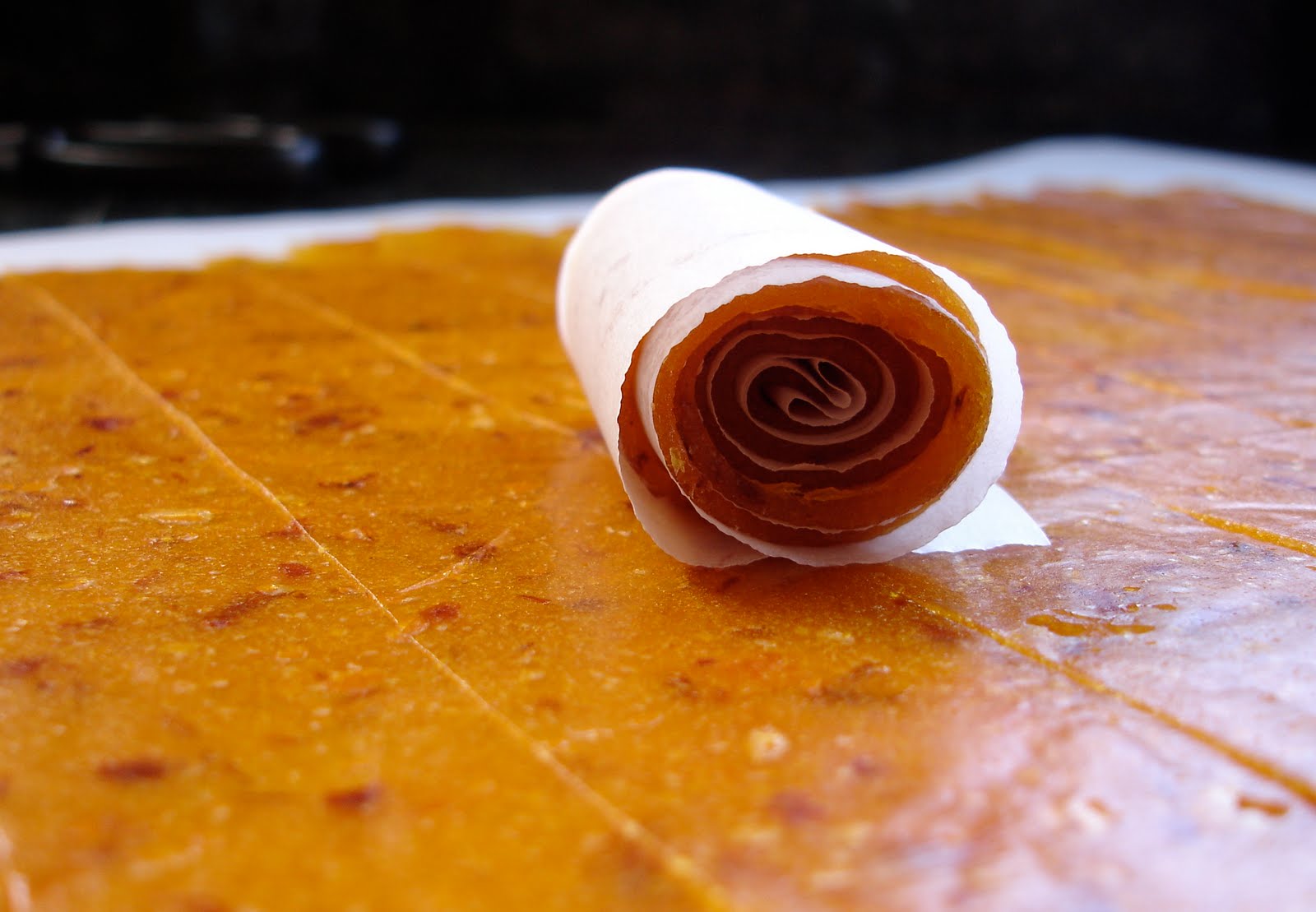 From Which Things Grow Chew on This Homemade Apricot Fruit Roll Ups