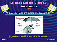 Apresentação final