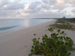 [plage+dÃ©serte+de+Barbuda++P1240625.jpg]