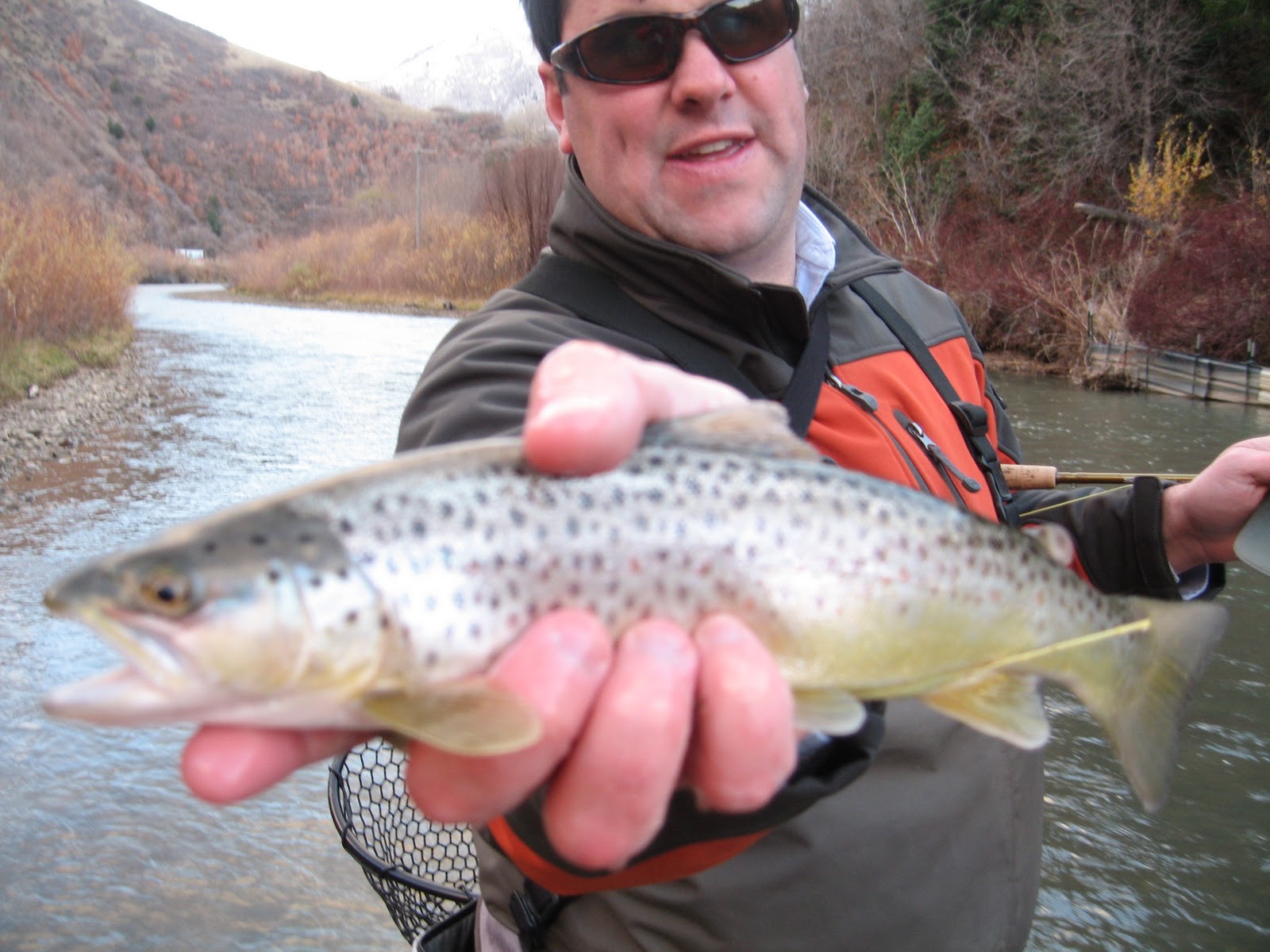 Fish Brain Fly Fishing Blog Spanish Fork Canyon