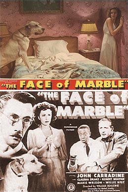[faceofmarble.jpg]