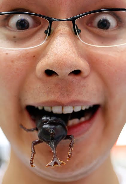 what do you call a person who eats insects