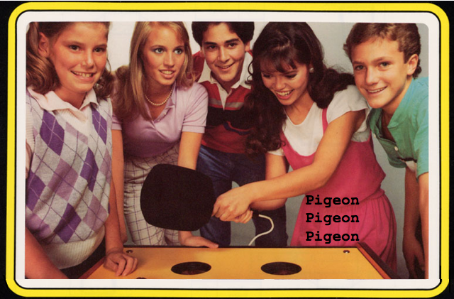 Pigeon Pigeon Pigeon