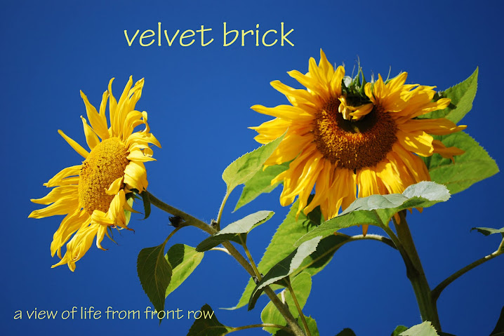 Velvet Brick