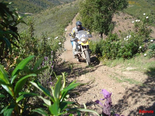 [DSC02873.JPG]