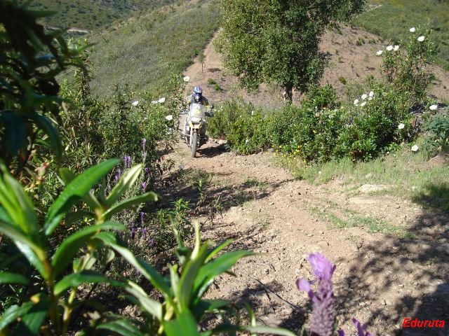 [DSC02872.JPG]