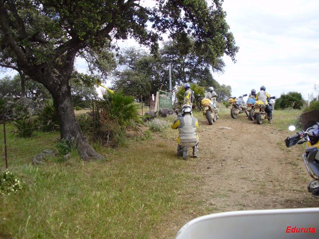 [DSC02970.JPG]