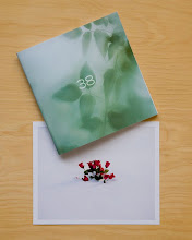 38 Booklet + Print, Edition of 150