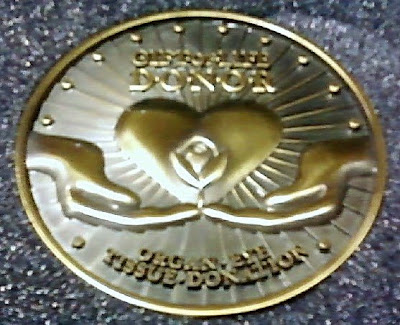 JONATHAN&rsquo;S DREAM: Jonathan Fain (Lil&rsquo; Dude) 1995-2009