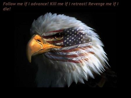 [eagle-eye-american-flag.jpg]