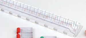 Pecan Prairie: The Master Ruler