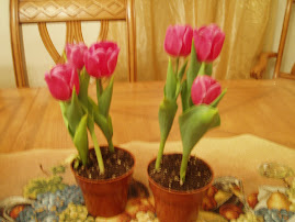 mis tulipanes bebe