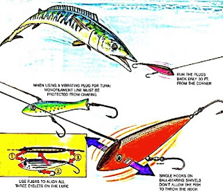 wahoo fish speed