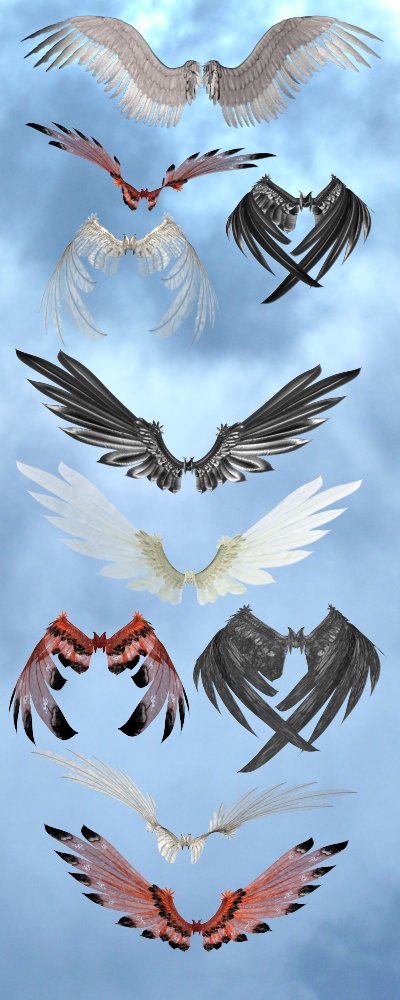 [shadavar_wings_sampler.jpg]
