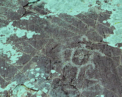 Jeffers Petroglyph