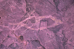 Jeffers Petroglyph #2