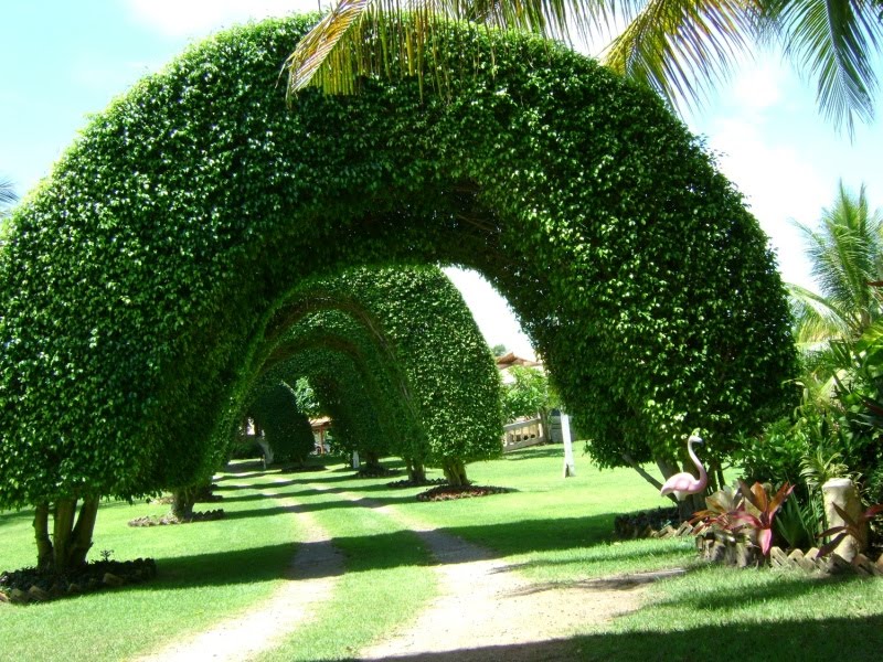 Sítio Portal do Paraíso: Descrição do Sítio