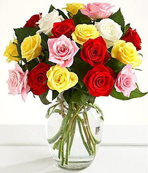 Details Of Proflowers Coupon Code Radio And Their Function Proflowers Coupon Code Radio S Blog