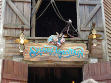 Splash Mountain