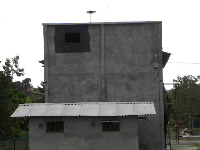 Swiftlet Farming: Million Dollars A Year Income Potential.: Swiftlet ...