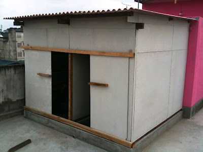 Swiftlet Farming: Million Dollars A Year Income Potential.: An Insect ...