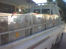 DISTRIBUSI BIBIT