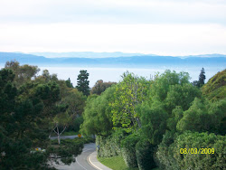 My Site - My Location - Rancho Palos Verdes Virtual Self Care Health Care