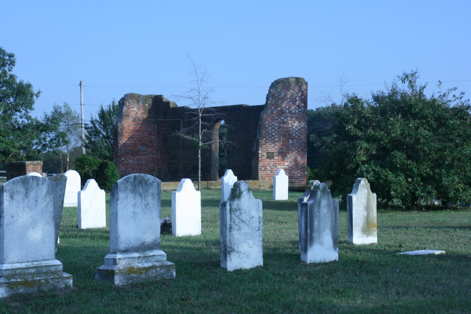 A Great Big Lark Whitemarsh Cemetery Trappe, Maryland 10/10/10