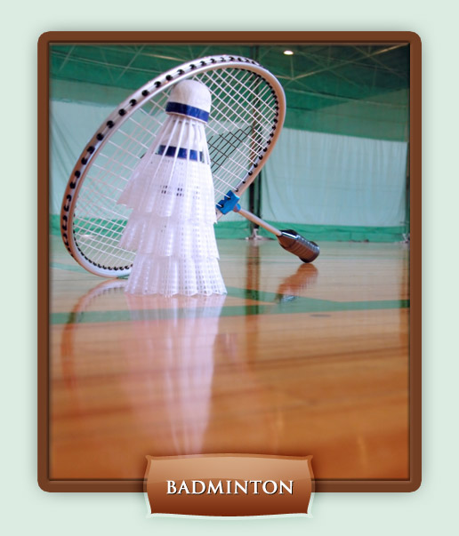 [badminton.jpg]