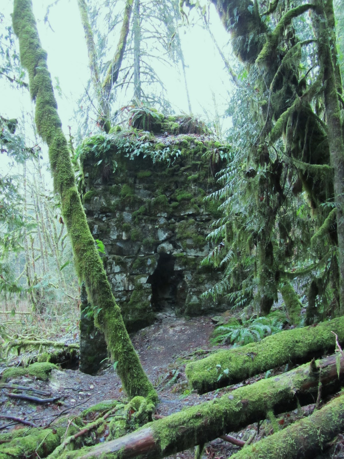 My Pacific Northwest Lime Kiln Trail Granite Falls