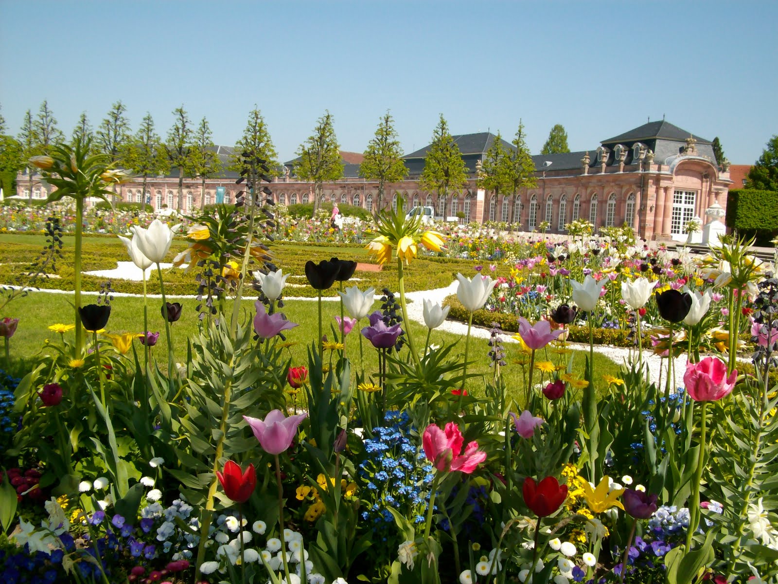 Gardening in Mannheim, Germany A visit to the Schwetzingen palace gardens