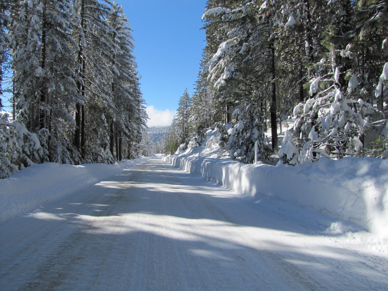 Moore2Love Snow Day at Shaver Lake