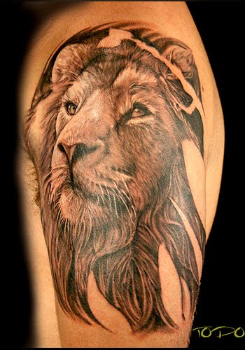 Designs Photos Lion Tattoos