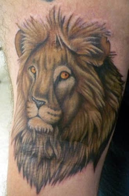 But the lions more than made up for it. This lion, for example,
