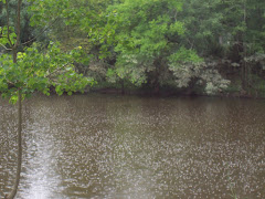 Raining on the River