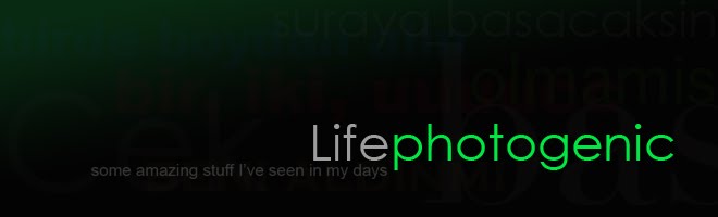 Life Photogenic by Ozhan "Oz" Maker 