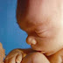 Evangélicos esperan aprueben artículo penaliza aborto