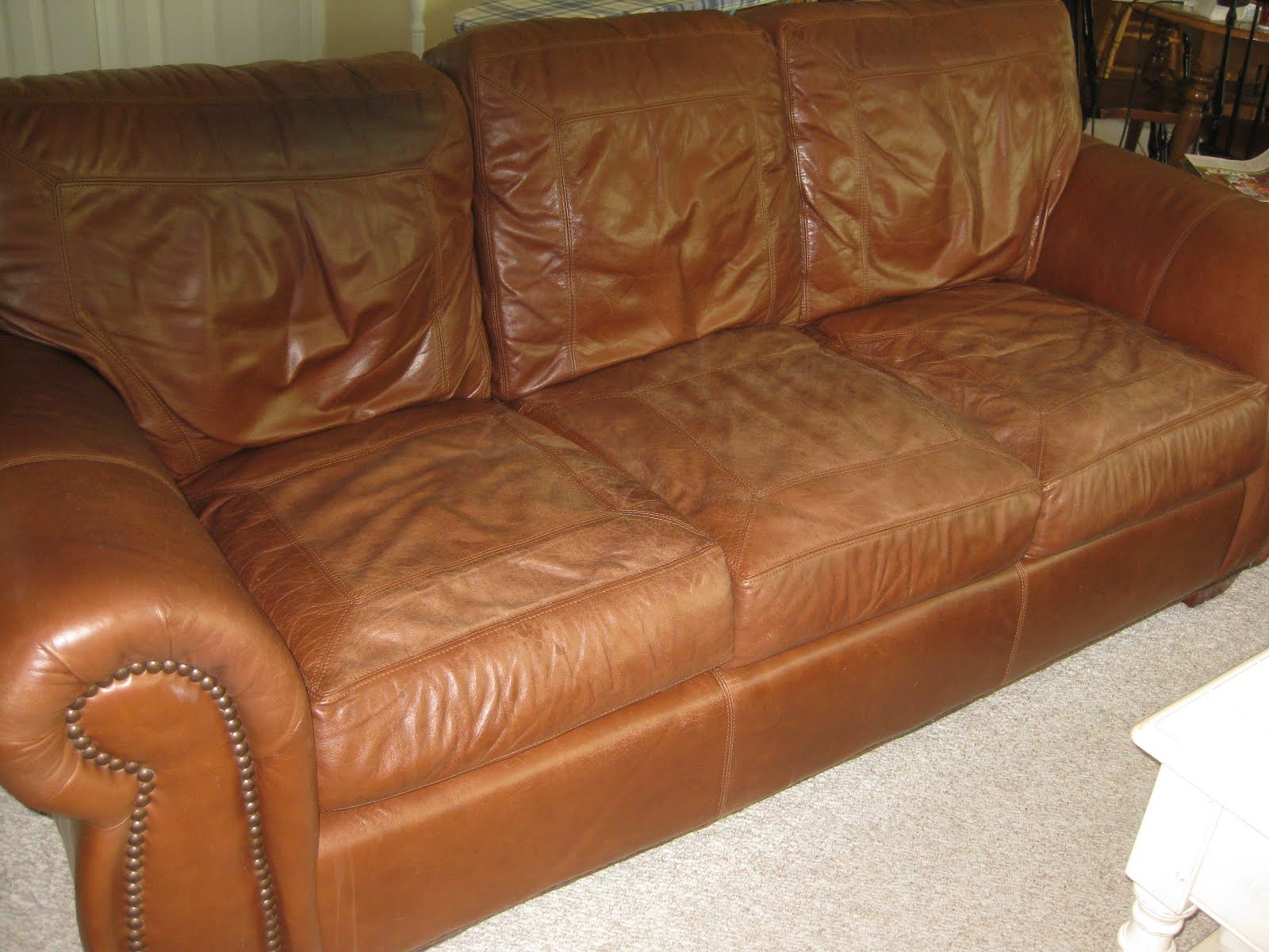 8/16/10 I'm Like An Old Leather Couch Lap BAND GROUPIE